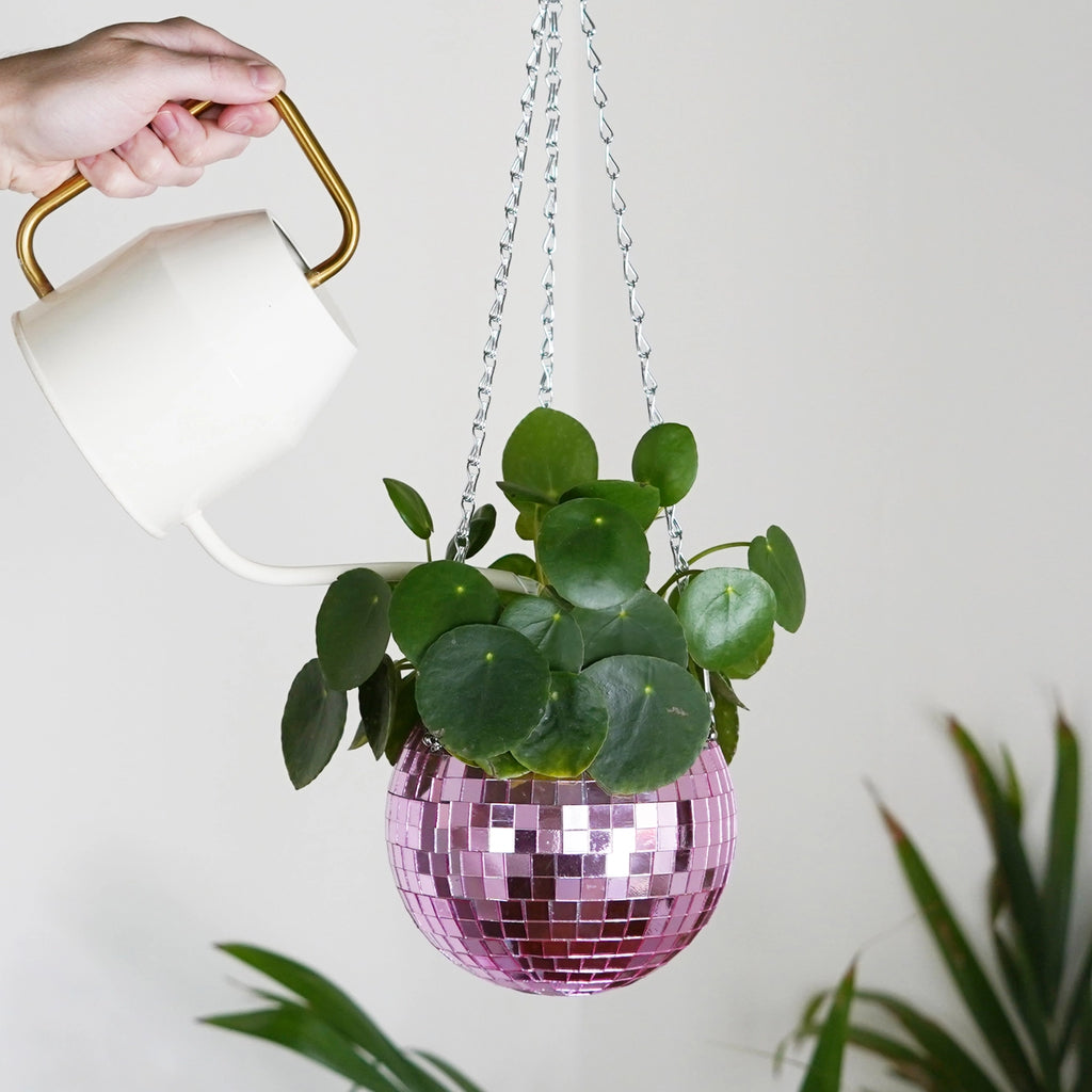 Disco Ball Hanging Planter - Pink (6in)