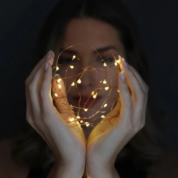 Lisa Angel Boxed 30 LED Copper Wire String Lights