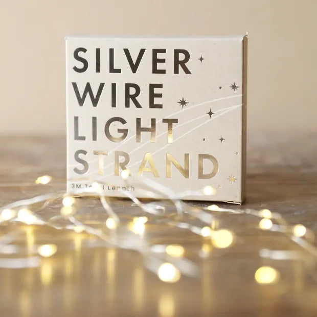 Lisa Angel Silver Wire Boxed Lights 30 LED Battery