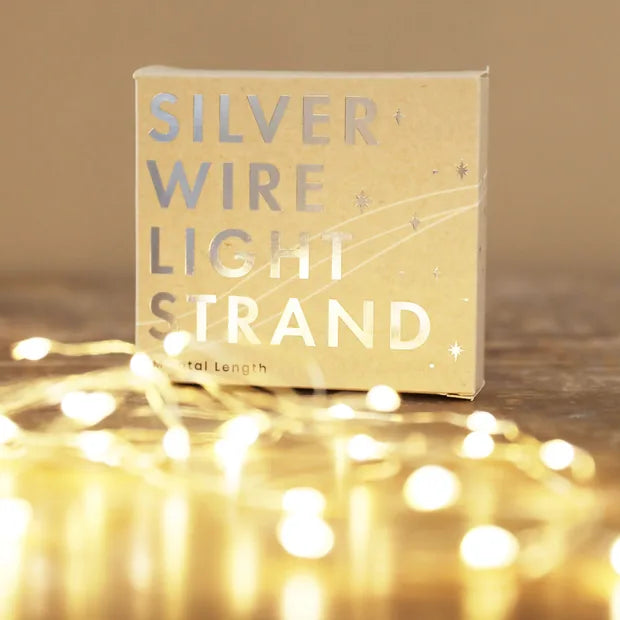Lisa Angel Silver Wire Boxed Lights 30 LED Battery