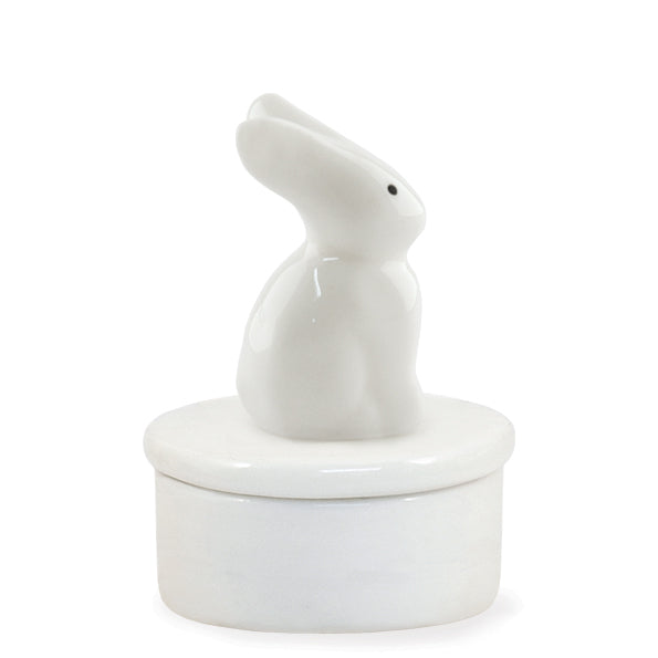 Little pot-Bunny