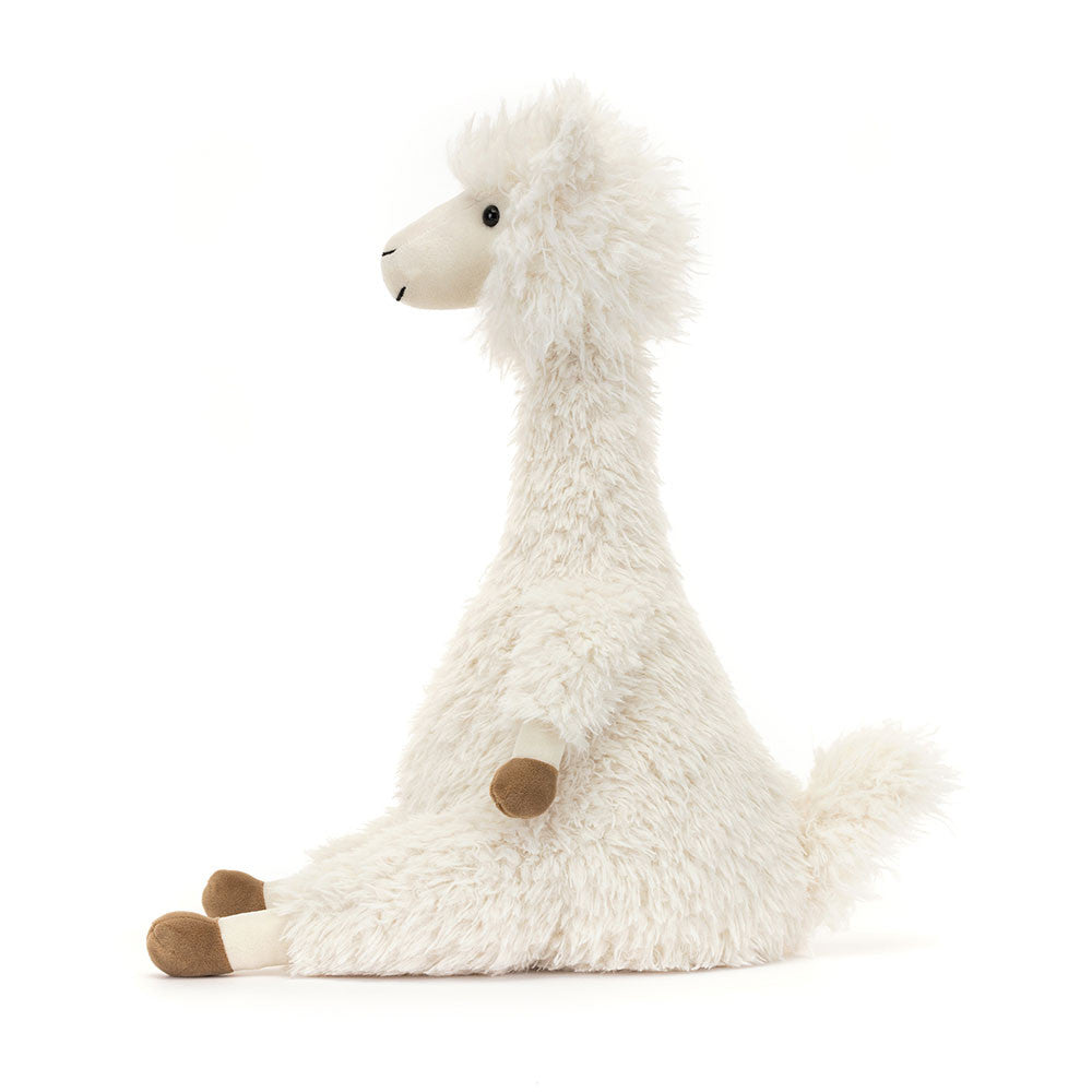 JC Alonso Alpaca