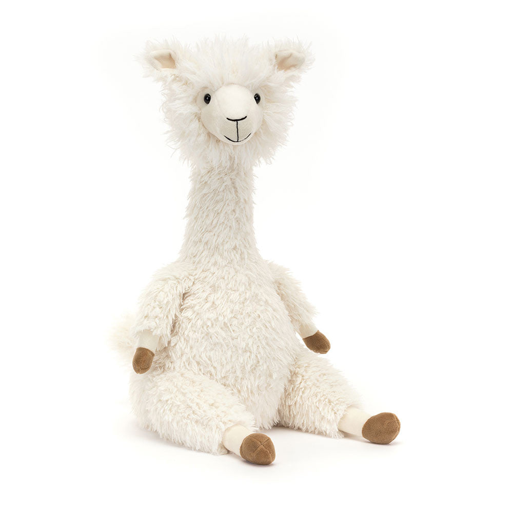 JC Alonso Alpaca