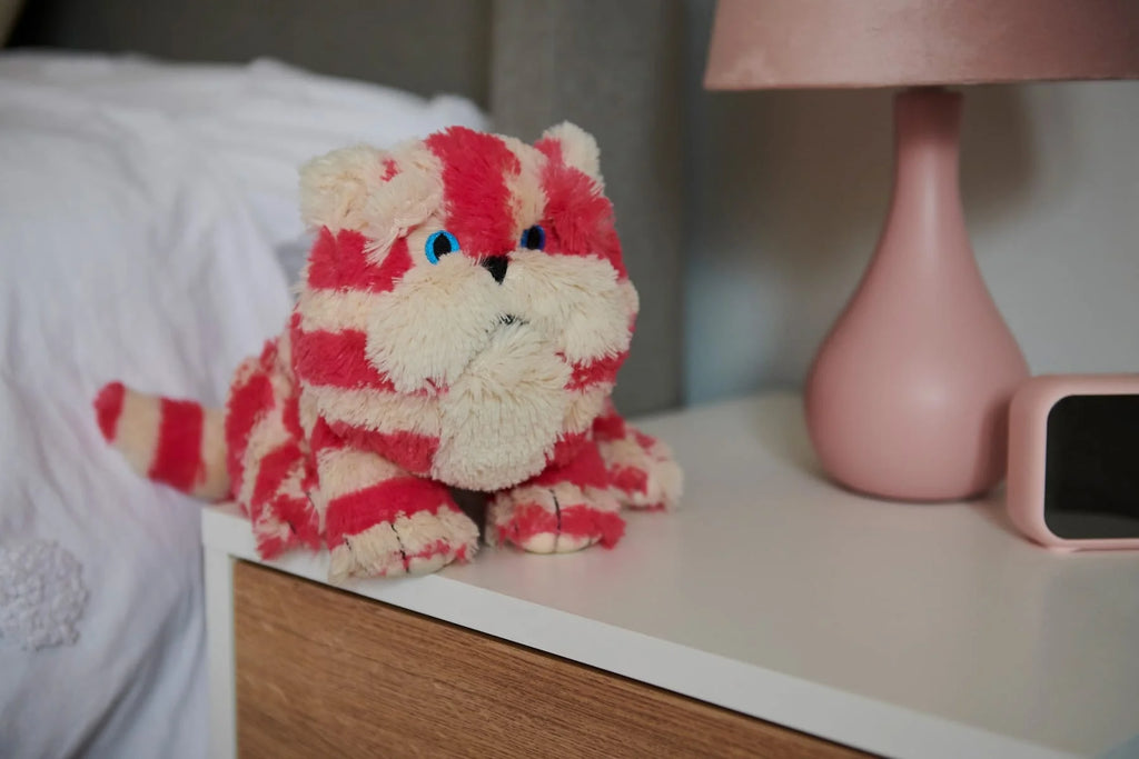 Warmies Bagpuss