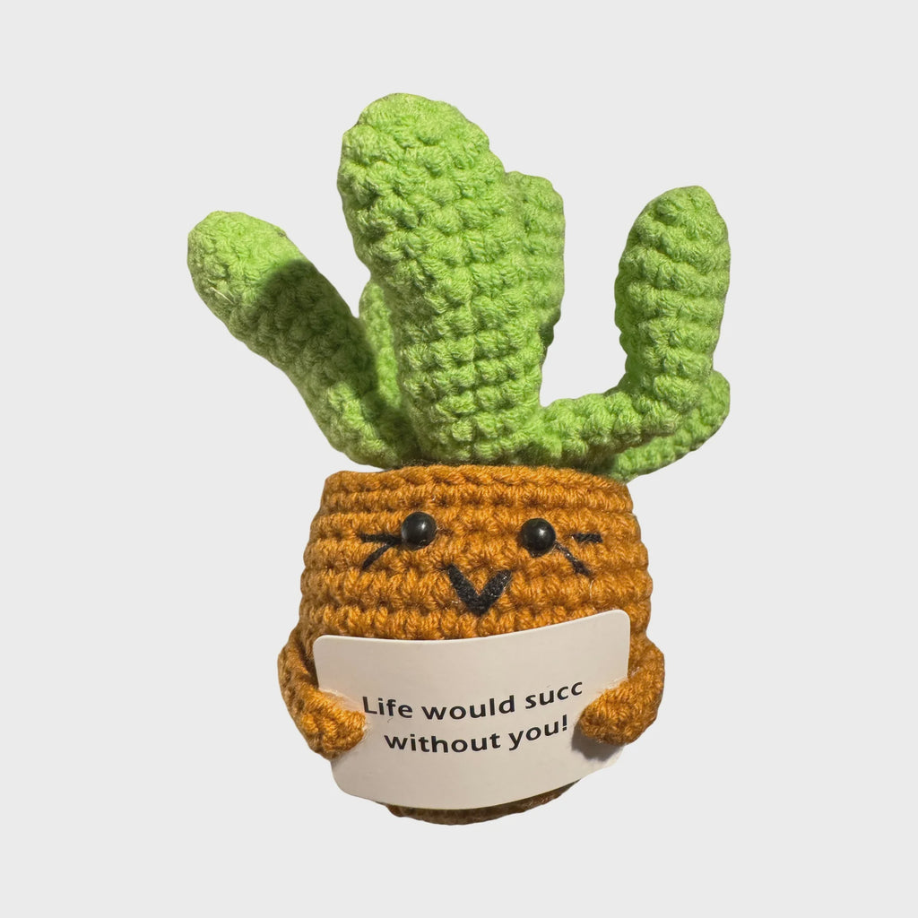 Crochet Positive Succulent