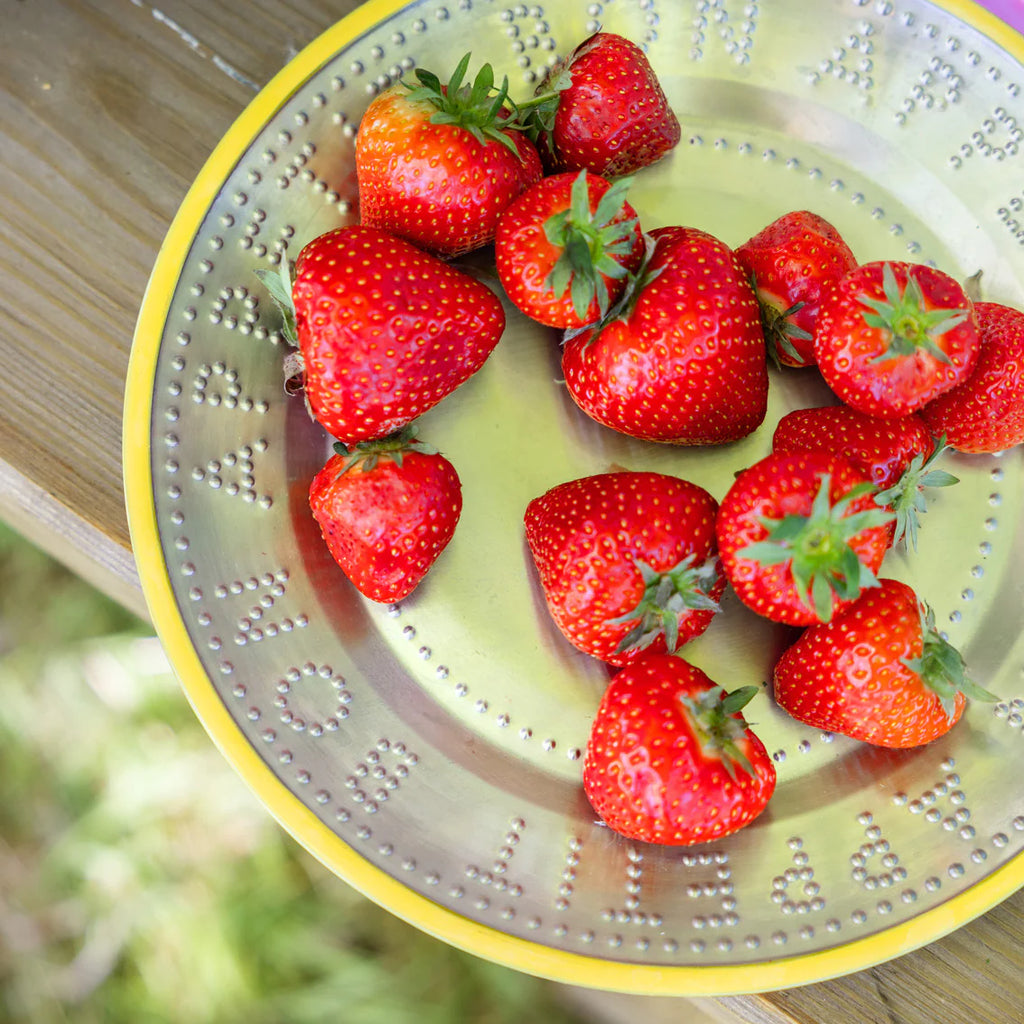 Bon Appetit Stainless Steel Reusable Plate - 25cm