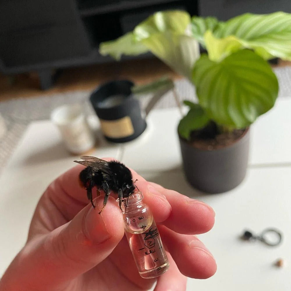 The Original Bee Revival Kit Aluminium