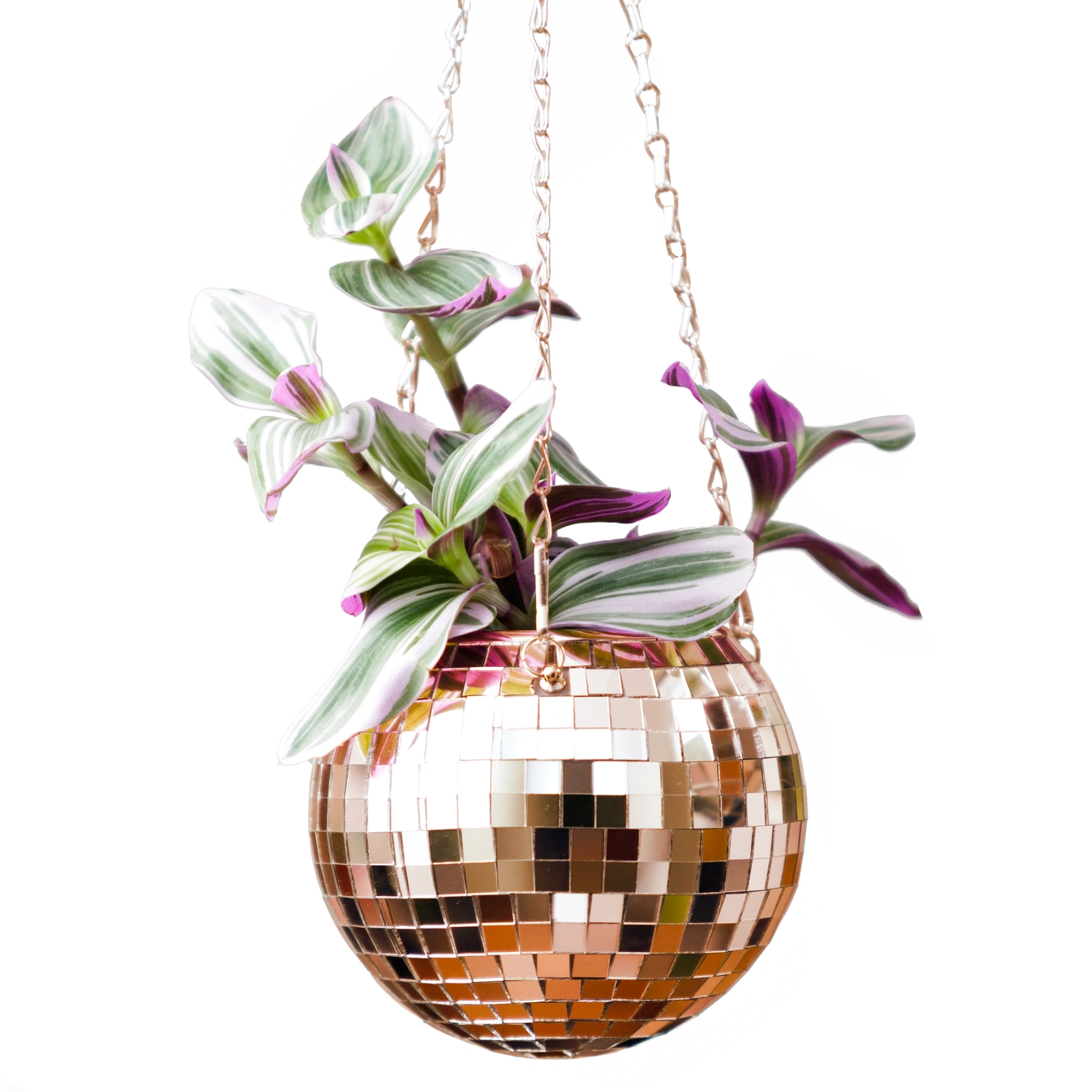 rose gold hanging planter Disco Ball Hanging Planter